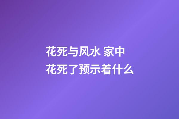 花死与风水 家中花死了预示着什么
